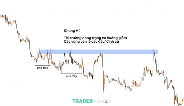 Bước này nhằm mục đích tránh đầu tư ngược với xu hướng chủ đạo hoặc xu hướng lớn