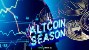 Altcoin Season là gì
